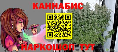 амф Обь