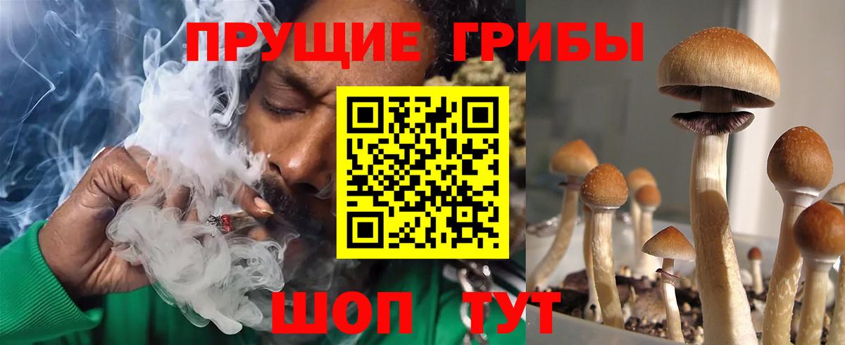 Сыктывкар  Галлюциногенные грибы мицелий  Вход с VPN 